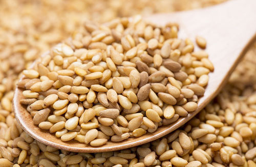 참깨 효능 무시못할 14가지