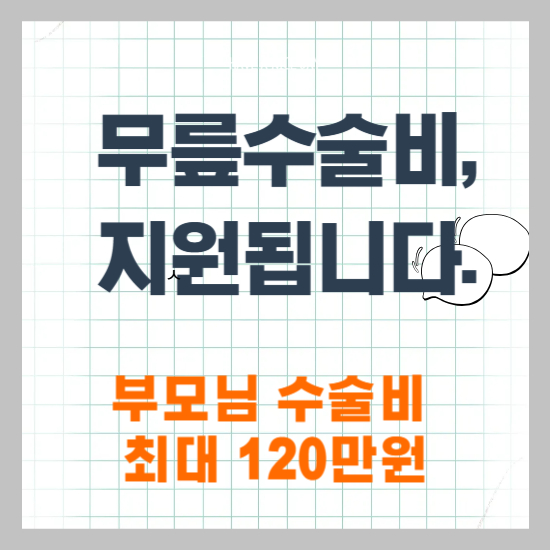 노인 무릎인공관절 수술비 지원사업 – 2025년 대상자 조건부터 신청절차까지 한눈에 정리