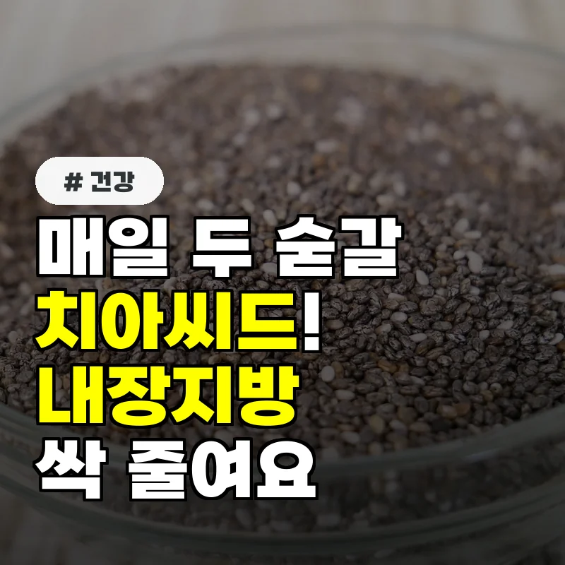 매일 치아씨드 두 숟가락! 내장지방 줄이는 핵심 효과 3가지