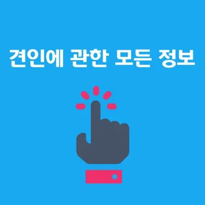 긴급견인 긴급출동 견인비용 견인차량보관비용 정보 한눈에 보기