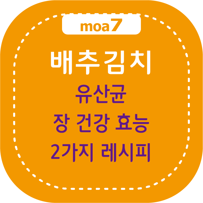 배추김치 유산균과 장 건강 효능, 2가지 레시피