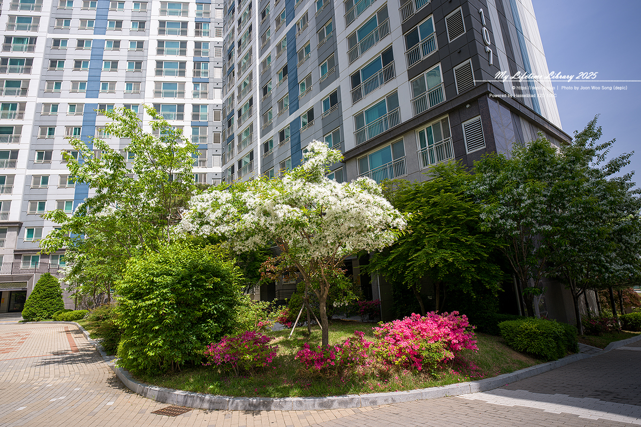 #아파트 #정원 #오창 #오창대성베르힐