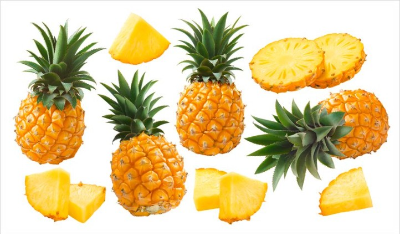 파인애플 사진