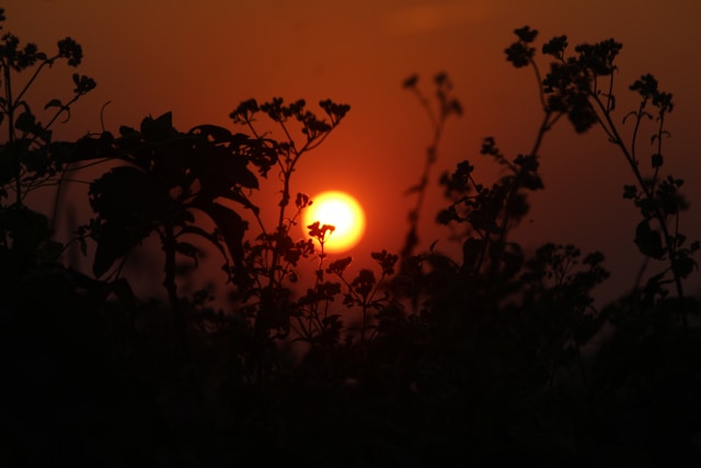 정동진 밤기차 패키지 여행 가격 총정리