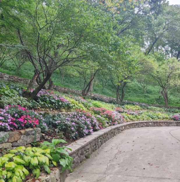 화담숲 주차장 및 셔틀버스 꿀팁 (위치 · 요금 · 시간표 포함)