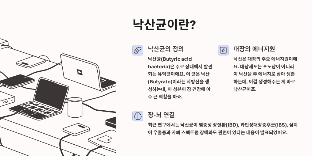 낙산균 효능, 유산균 차이, 프로바이오틱스 조합 총정리