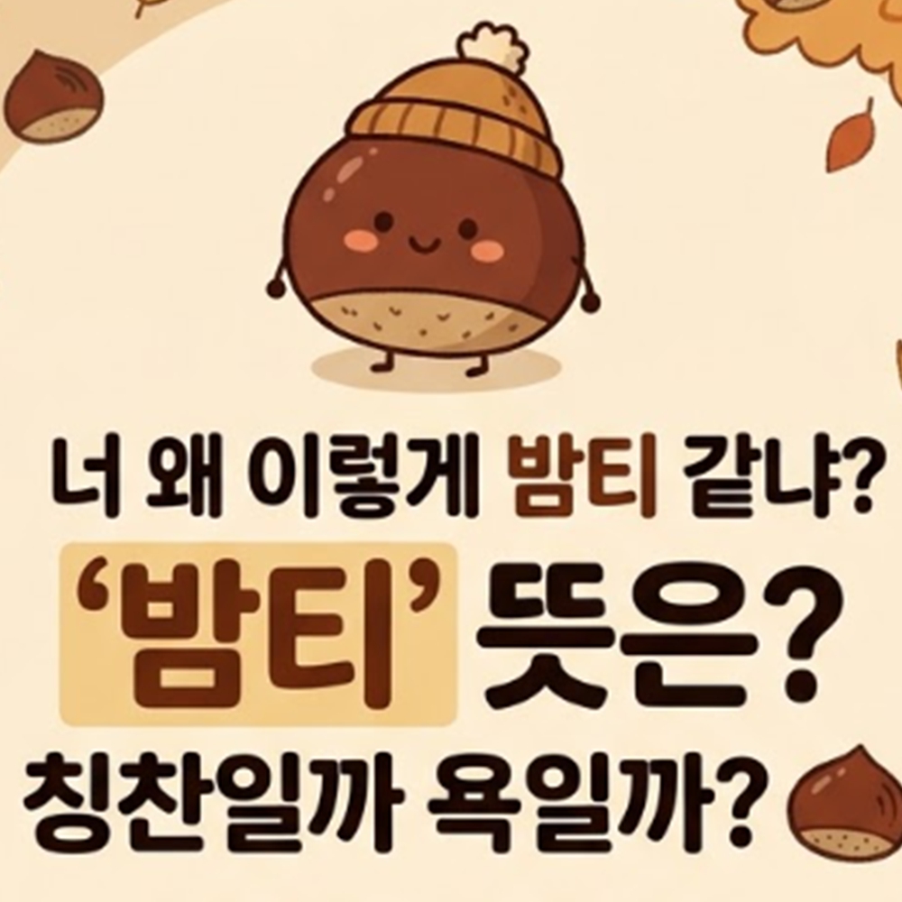 밤티 뜻