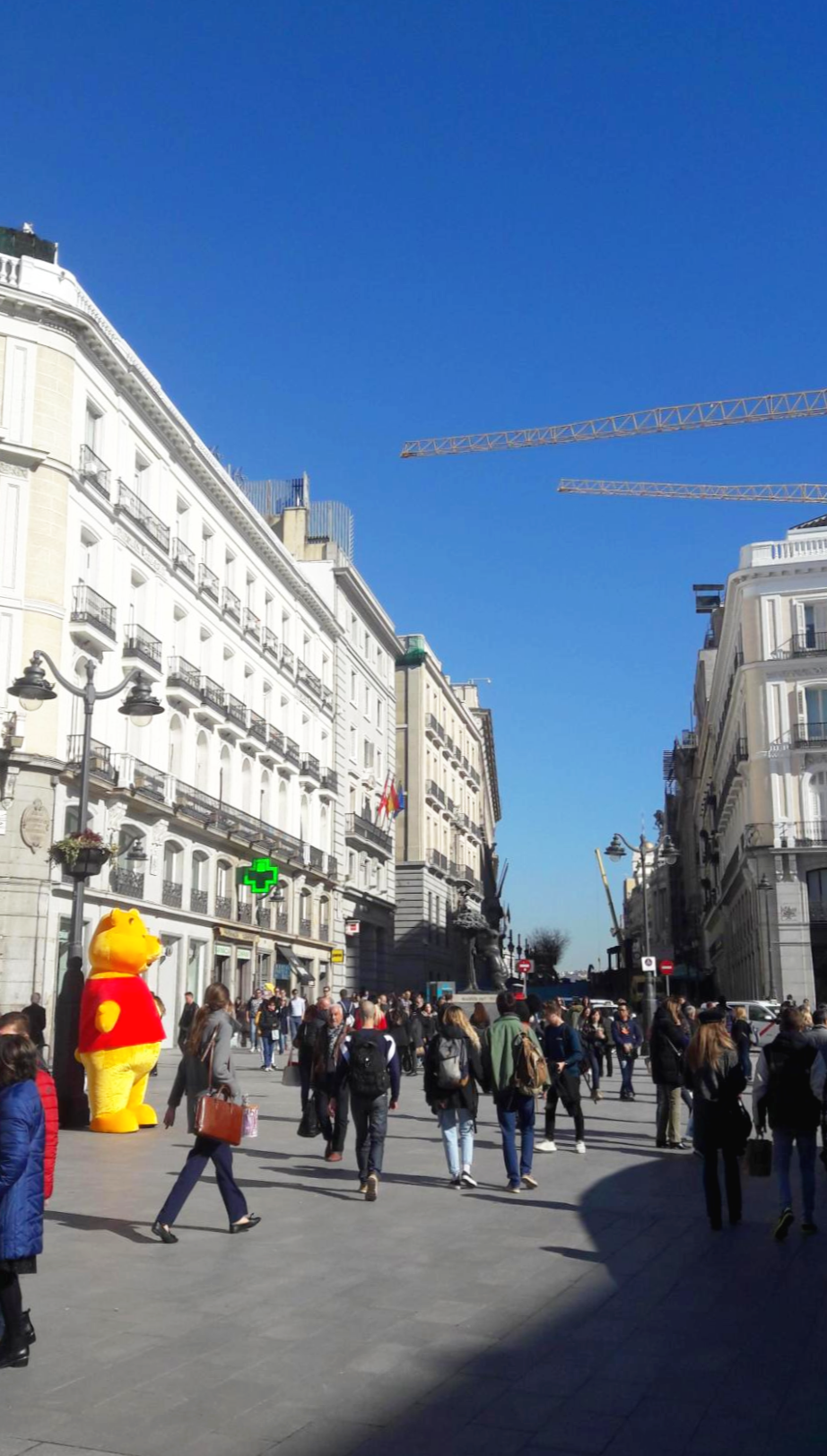 스페인 마드리드 솔 광장 곰 두마리