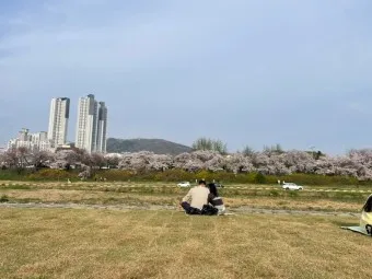 청주 가볼만한곳 베스트10 여행 코스 맛집_18