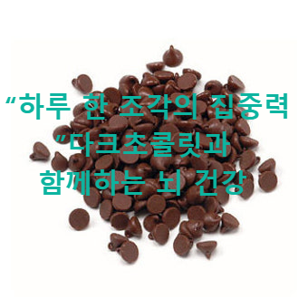 “하루 한 조각의 집중력”다크초콜릿과 함께하는 뇌 건강