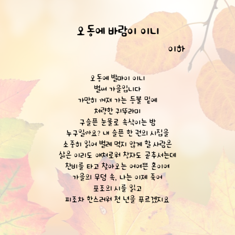 가을시 모음 추천