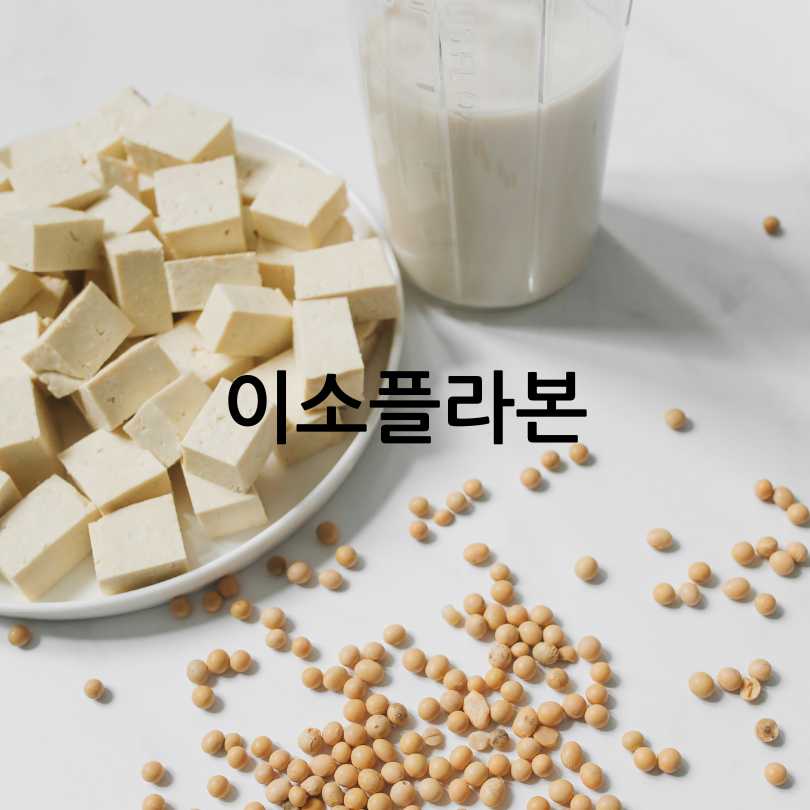 갱년기여성필수영양제