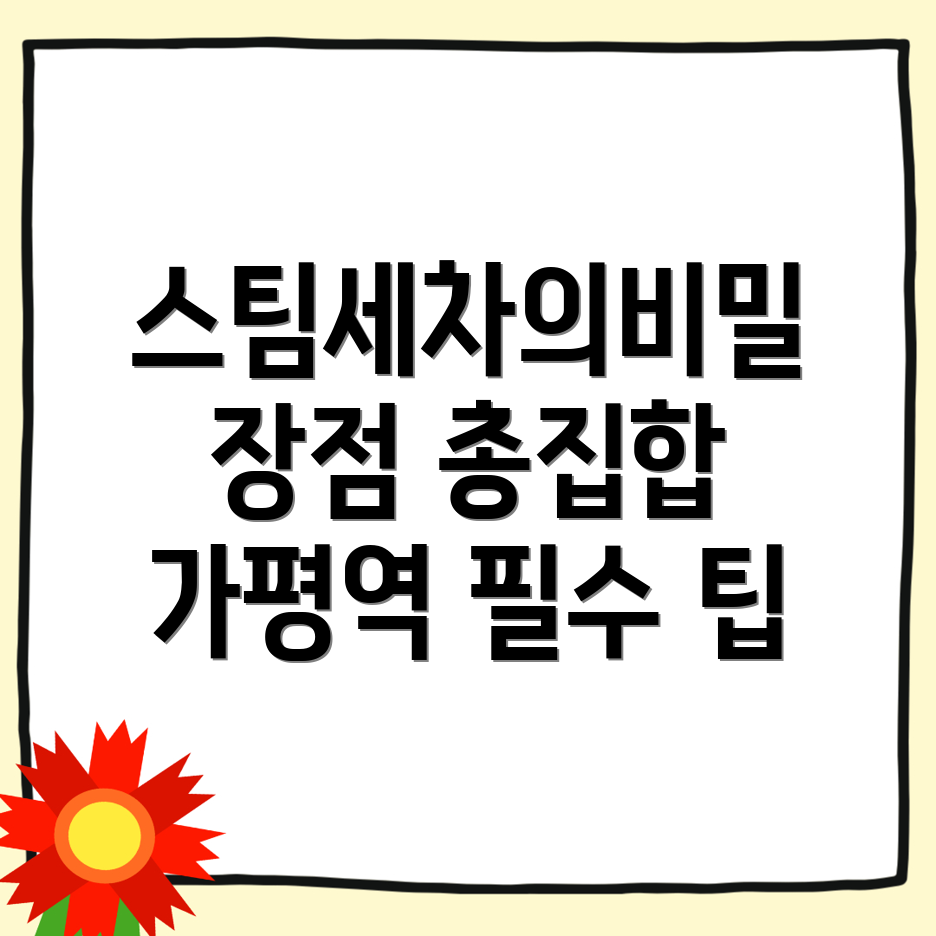 가평역 스팀세차 가격