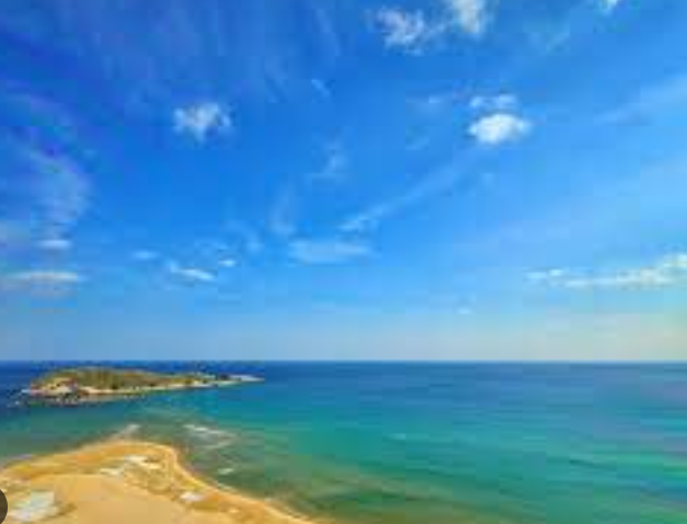 푸른 소나무 숲과 바다가 어우러진 고창 송지호 해수욕장