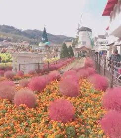 용인 에버랜드