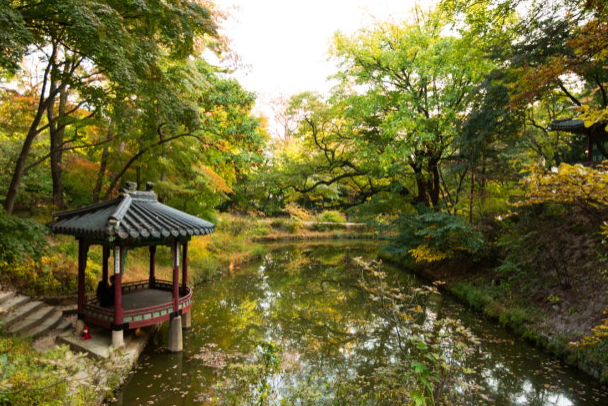 창경궁 후원 관람예약