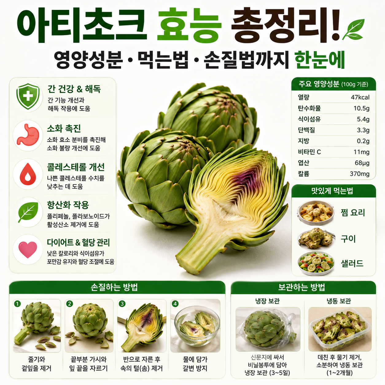 아티초크 효능