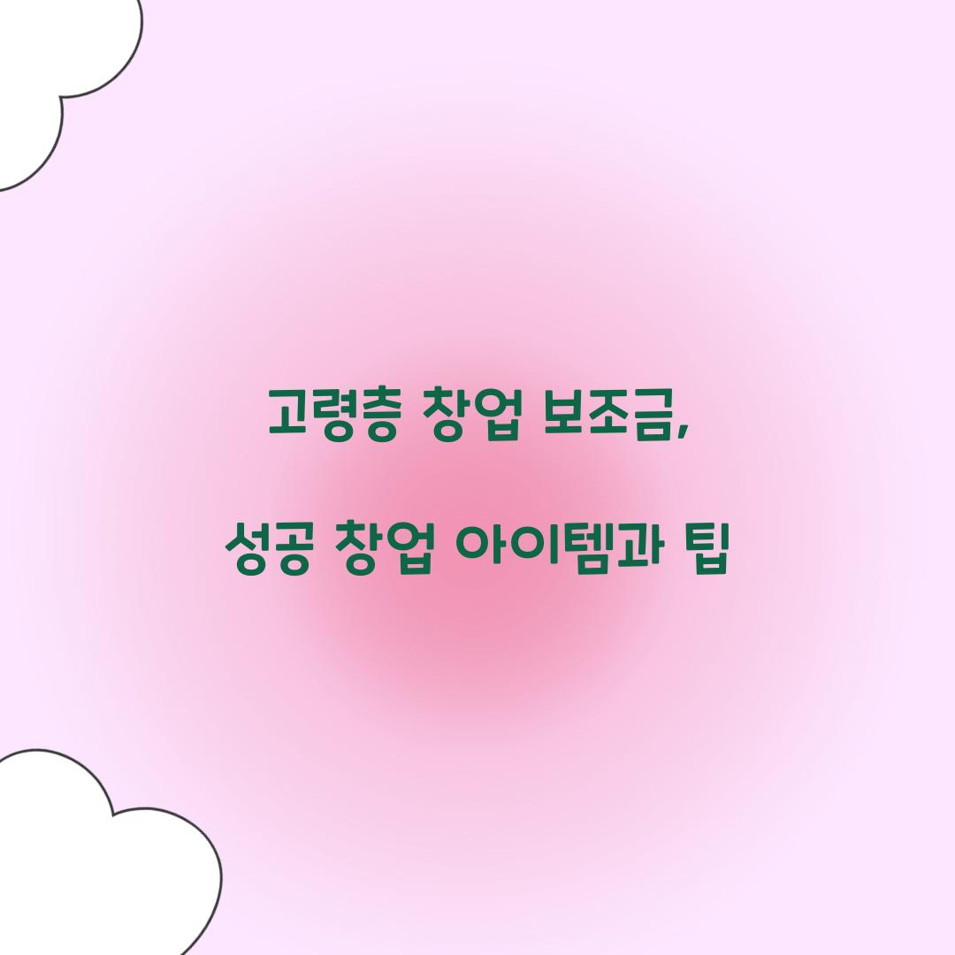 고령층 창업 보조금