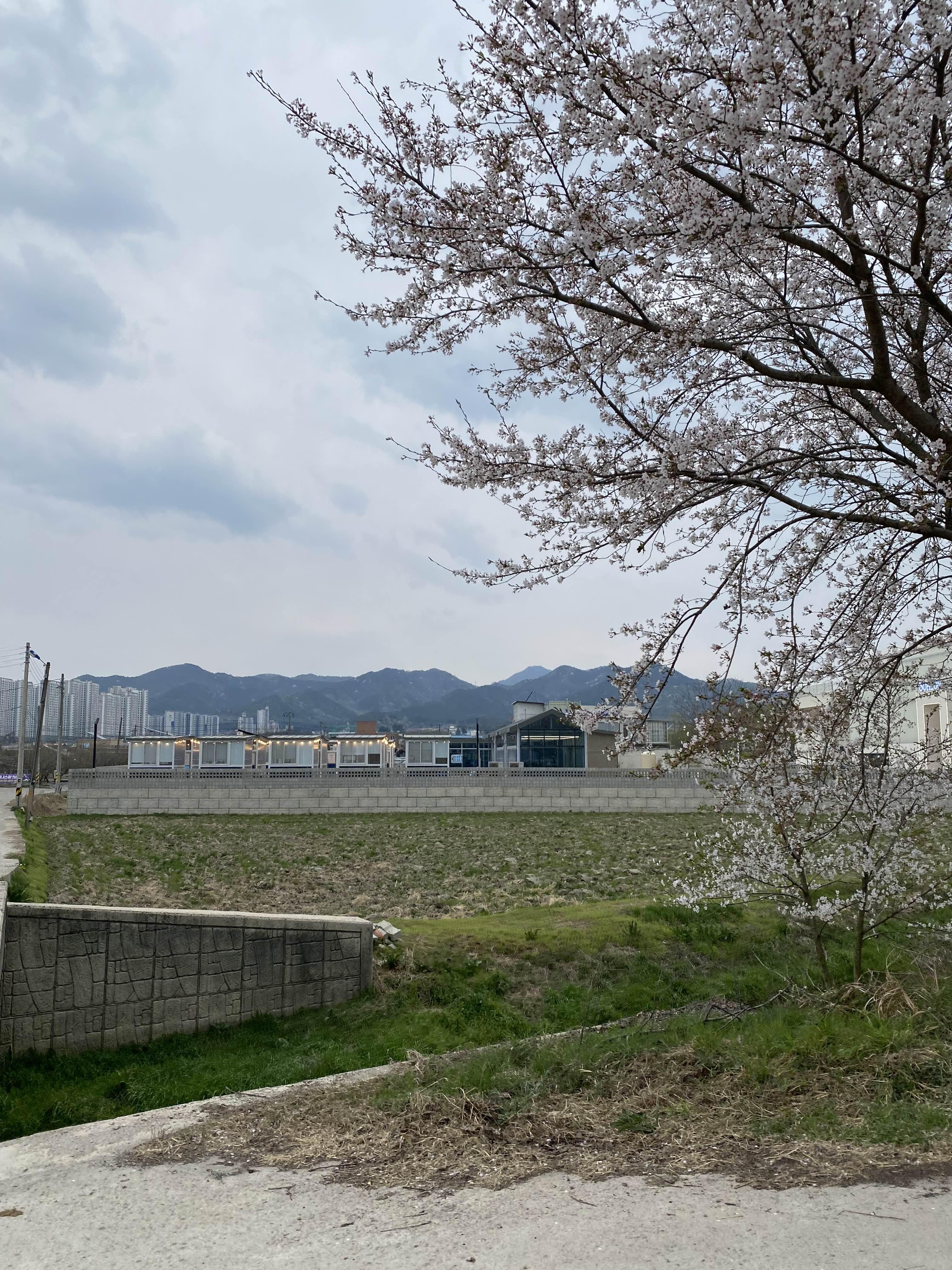 alt 태그