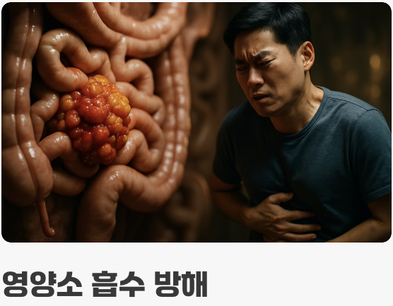 진짜 문제는 &amp;#39;독성&amp;#39;이 아닌 &amp;#39;소화&amp;#39;