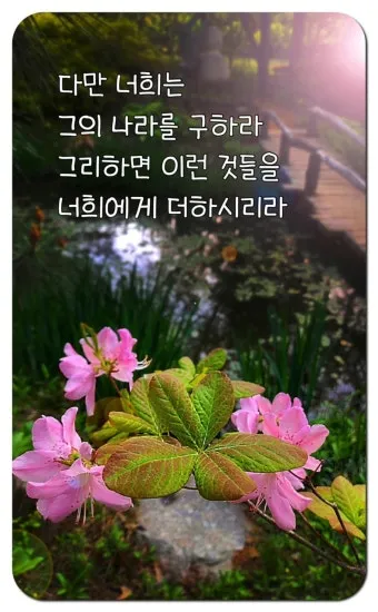 매일성경묵상(누가복음 12장 13-34절) 누가 네 인생의 주인이냐?_18