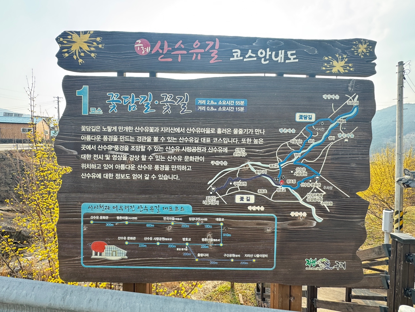 구례산수유축제