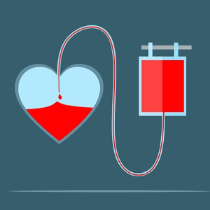 헌혈의 종류 및 주기