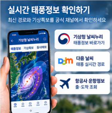 일본 여행 항공편 태풍 놀로 고구마 확인방법