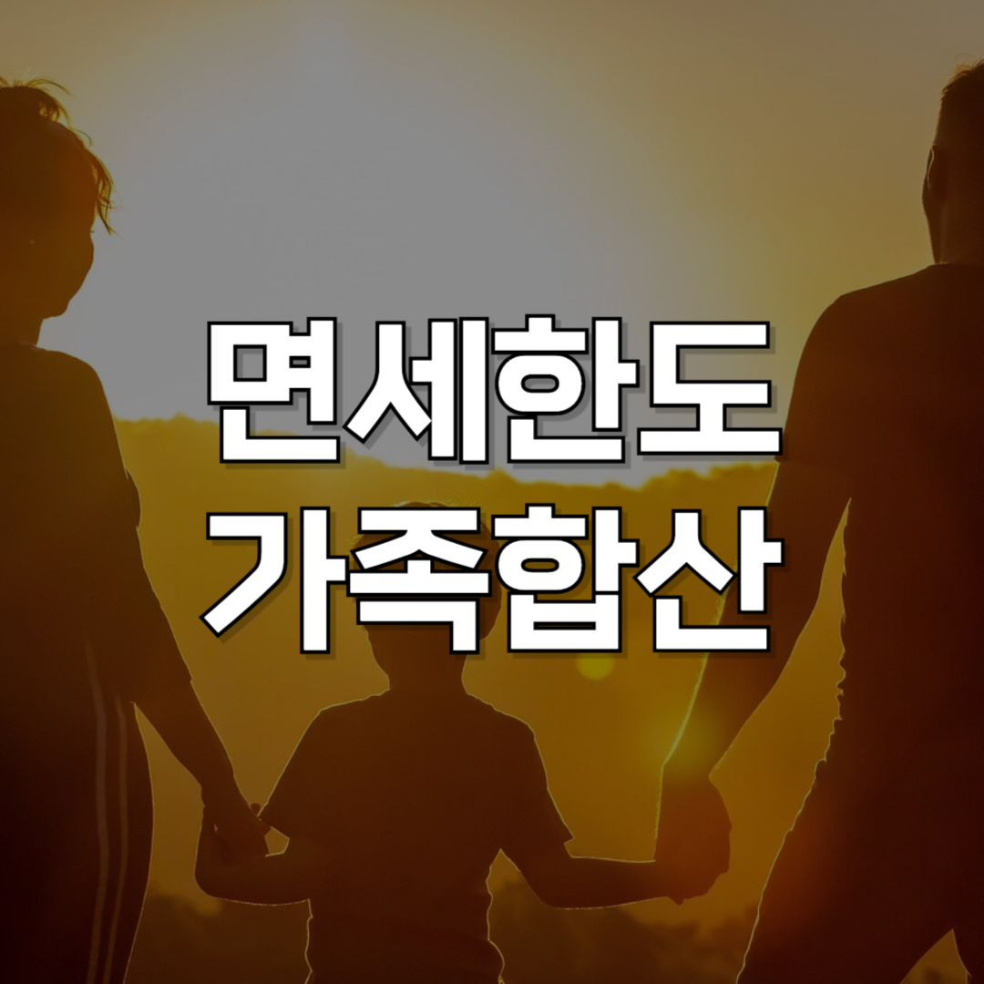 면세한도 가족합산 완벽 가이드: 온라인✕오프라인 구매 시 꼭 알아야 할 방법