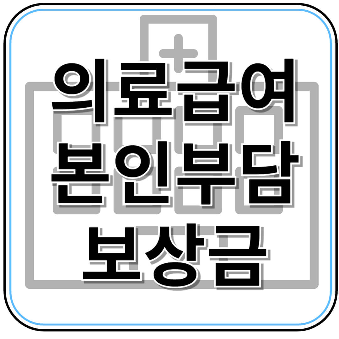 의료급여 본인부담 보상금, 이렇게 신청하세요! 지급 대상 및 방법 총정리