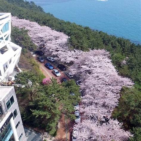 해운대 달맞이길