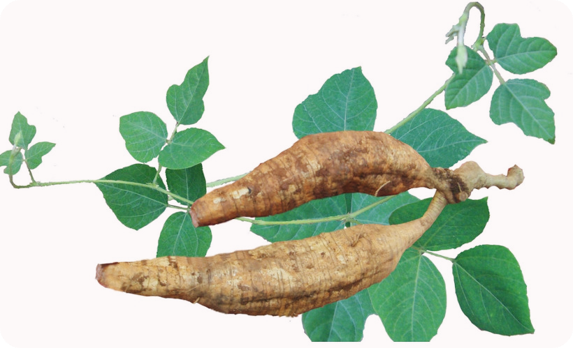 갱년기에-좋은-식품