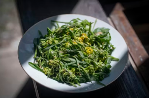 식어도 맛있는 피크닉 도시락 메뉴, 두릅 베이컨 말이와 특제 소스