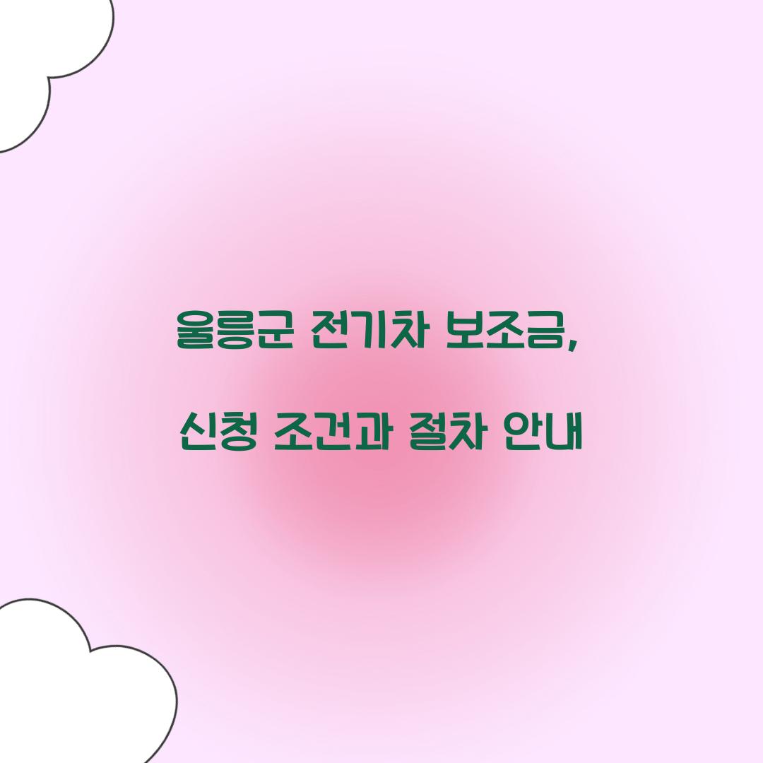 울릉군 전기차 보조금