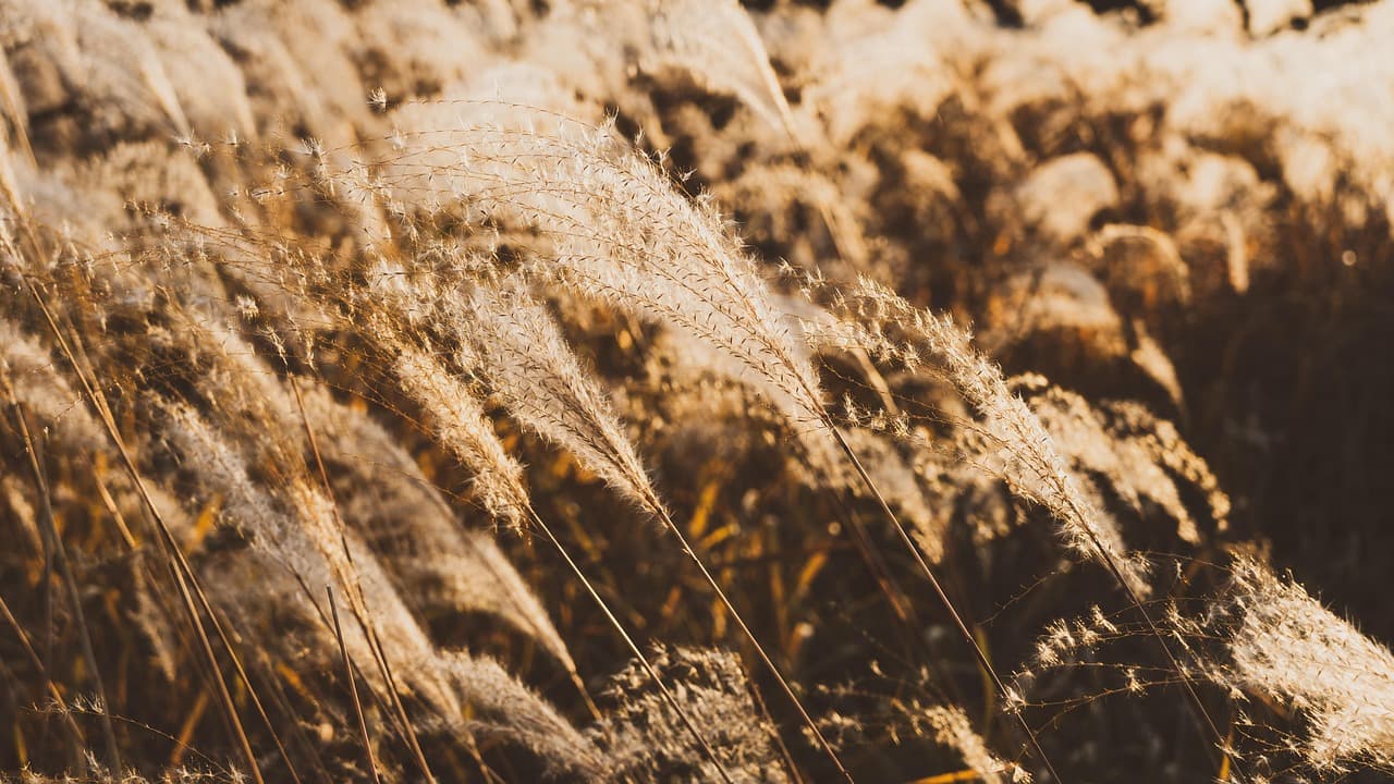 하동 최참판댁과 박경리 ‘토지’의 세계