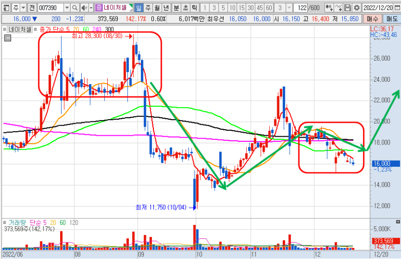 네이처셀 일봉 차트