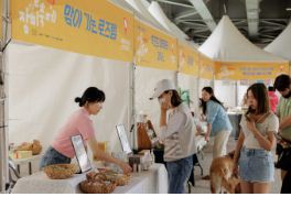 장미축제