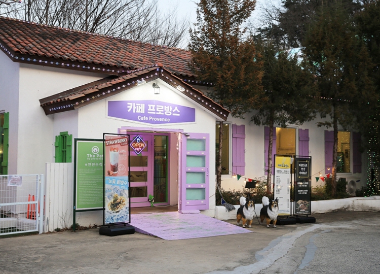 청도 프로방스