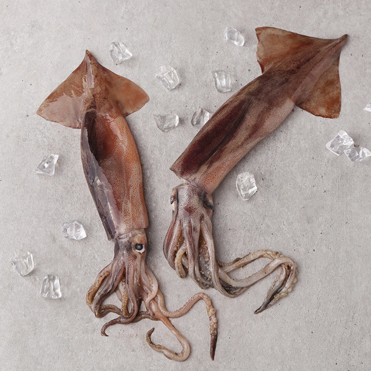 오징어 효능 및 부작용