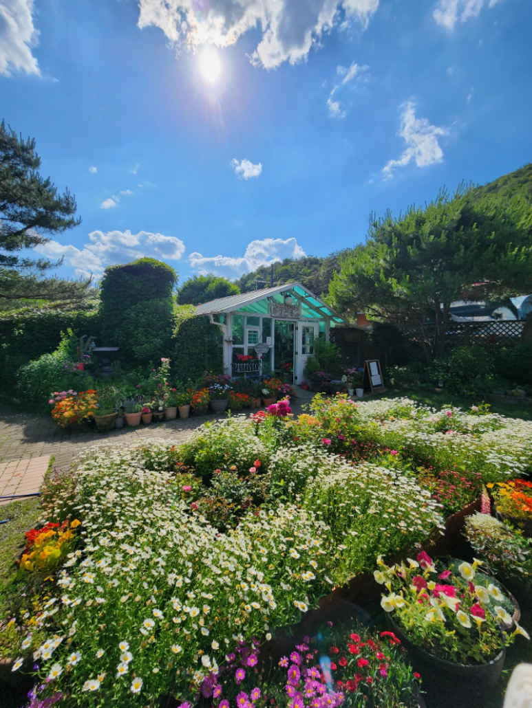 양평, 한식코스 맛집, 참좋은생각