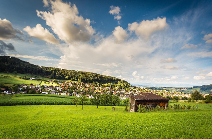 자연으로의 귀향: &lsquo;디지털 디톡스 여행&rsquo;이 각광받는 이유