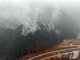 산불피해 지원&amp;#44; 울산-경북-경남&nbsp;산불대응 중앙재난안전대책본부