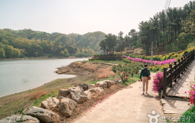  옥천 부소담악