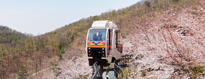 화담숲 모노레일