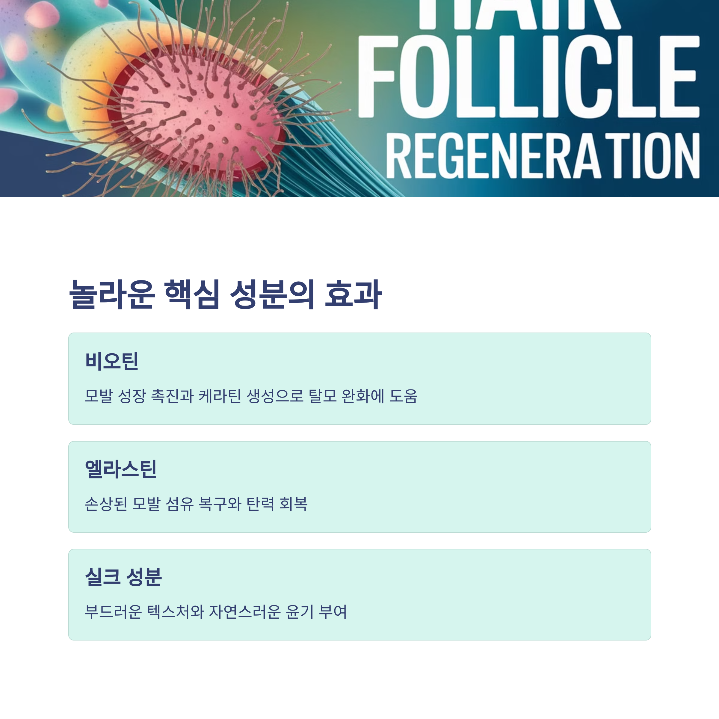 여에스더 비오틴 엘라스틴 단백질 실크 워터 트리트먼트