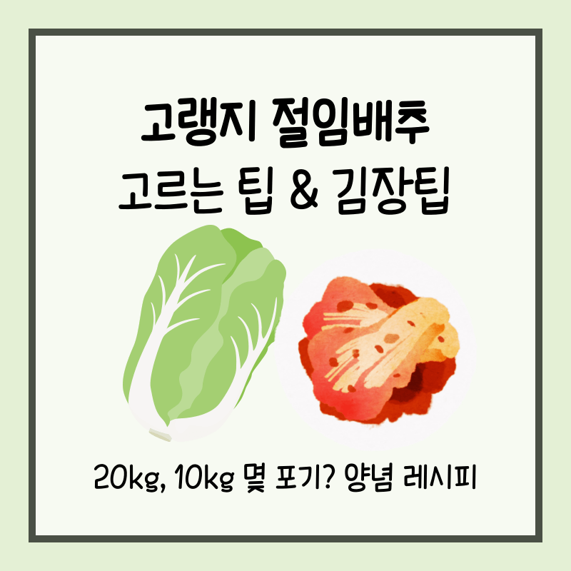 고랭지 절임배추 김장