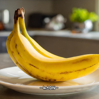 칼륨이 많은 음식