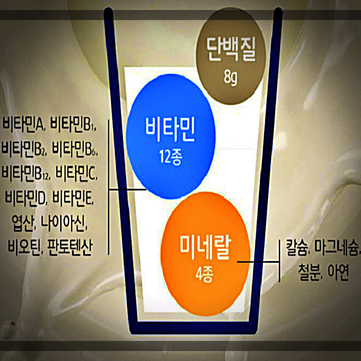 프로틴-단백질-성분-영양소
