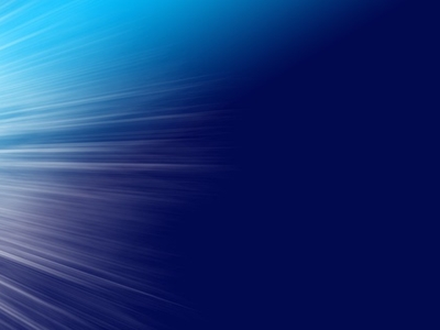 표고버섯 효능 사진12