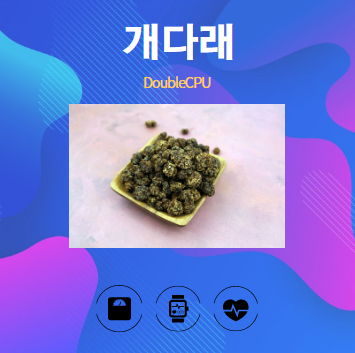 개다래 알아보기